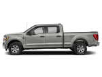 2021 Ford F-150 XLT Black Widow Package