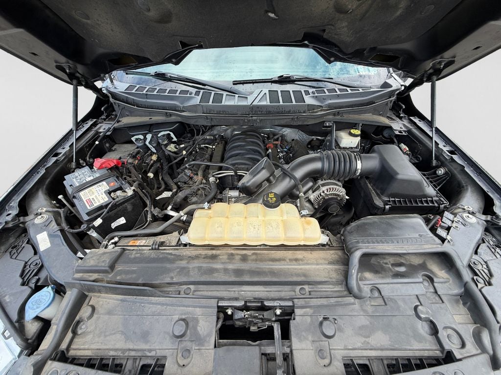 2021 Ford F-150 XLT Black Widow